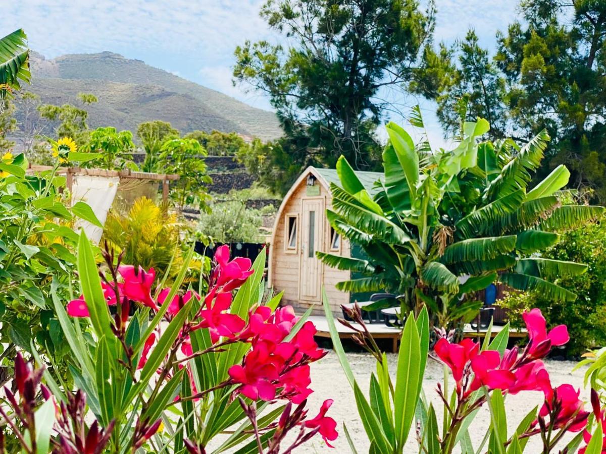Lykke Suite Spa Sauna Piscina Y Jardin Buzanada Eksteriør billede