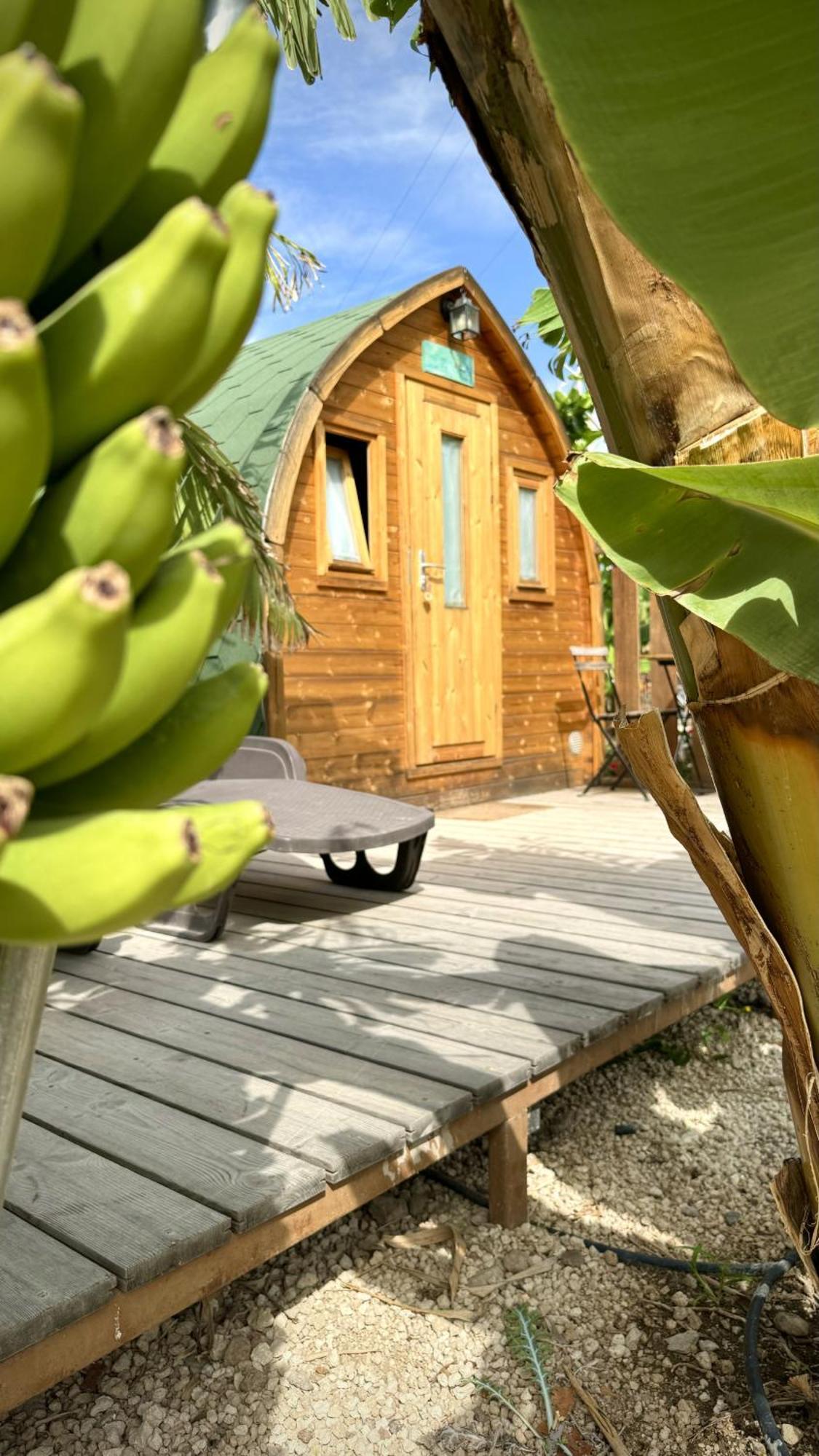 Lykke Suite Spa Sauna Piscina Y Jardin Buzanada Eksteriør billede