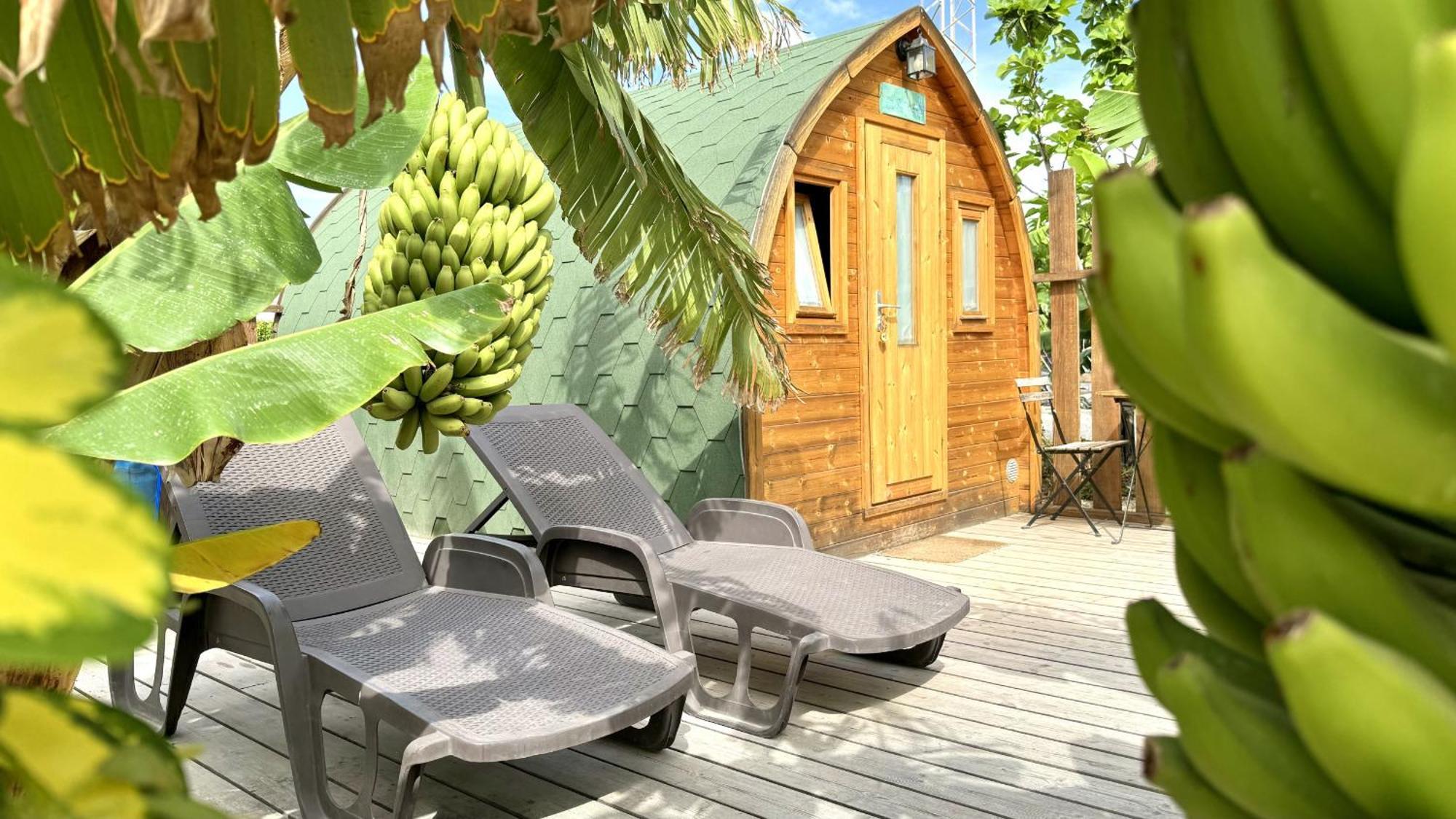 Lykke Suite Spa Sauna Piscina Y Jardin Buzanada Eksteriør billede
